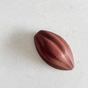 Fève De Cacao