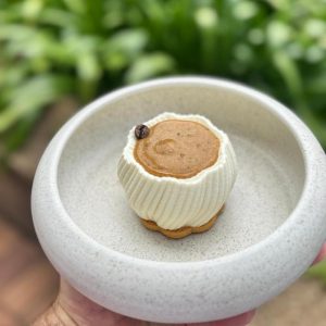 Tiramisu Moderne